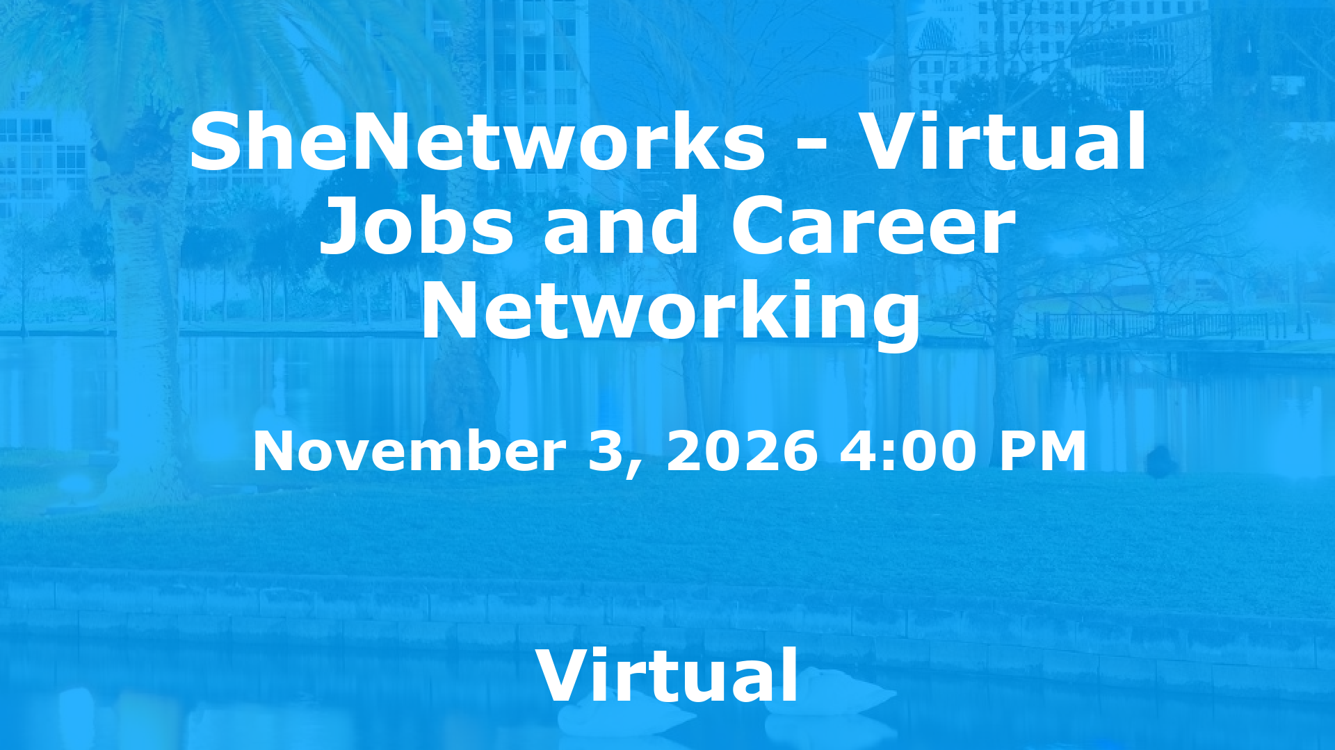 SheNetworks - Virtual Jobs and Career Networking event image